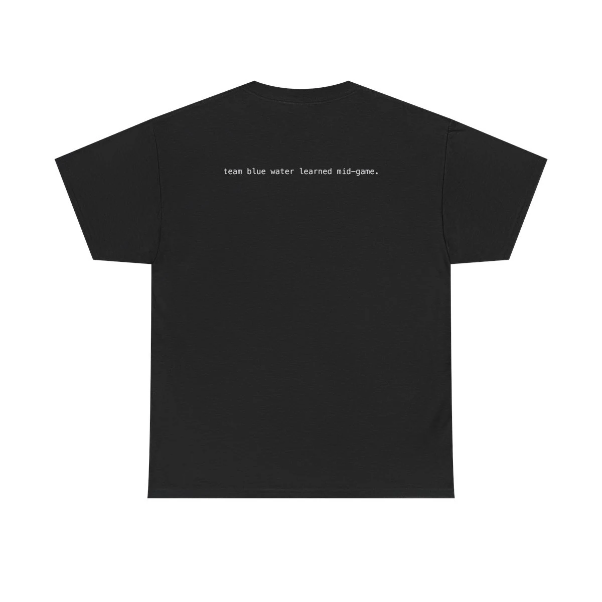 AGENTS IN THE ARENA — DC34 — Tee view 2